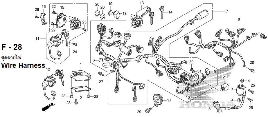 Moto TH - Honda PCX150 (2012) Parts - Harness